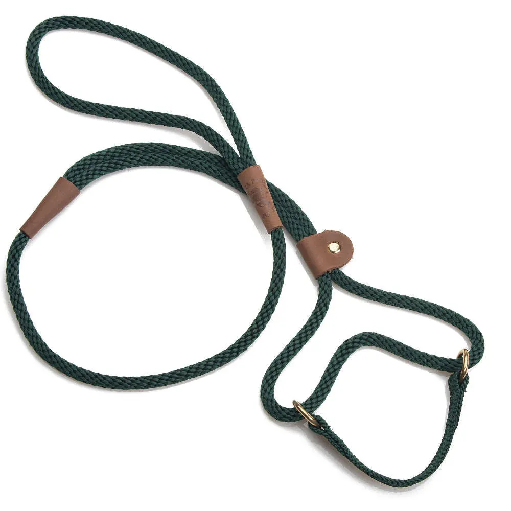 Mendota Dog Walker Martingale Lead 4'